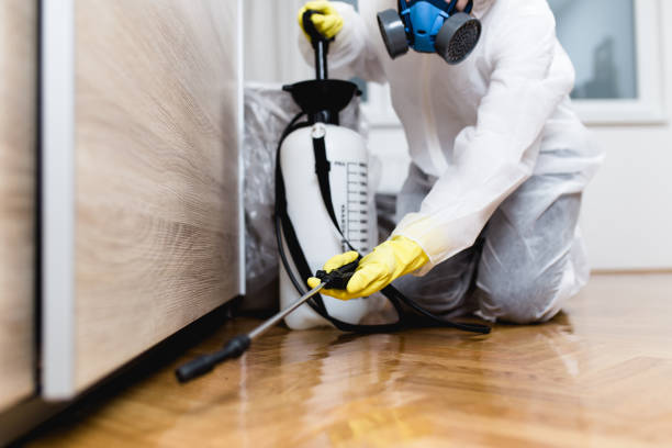 Flea Control Services in Spring Lake, NJ