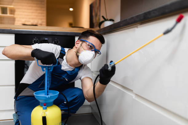 Reliable Spring Lake, NJ Pest Control Solutions