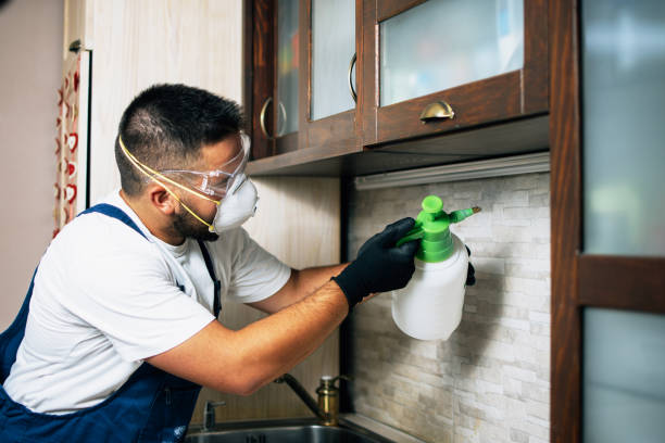 Insect Control in Spring Lake, NJ