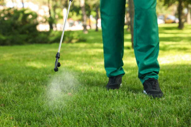 Best Affordable Pest Control Services  in Spring Lake, NJ