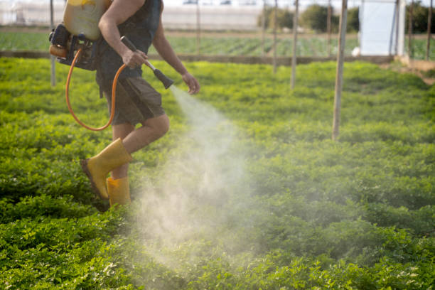 Best Best Pest Control Companies  in Spring Lake, NJ